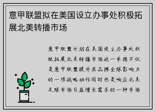 意甲联盟拟在美国设立办事处积极拓展北美转播市场